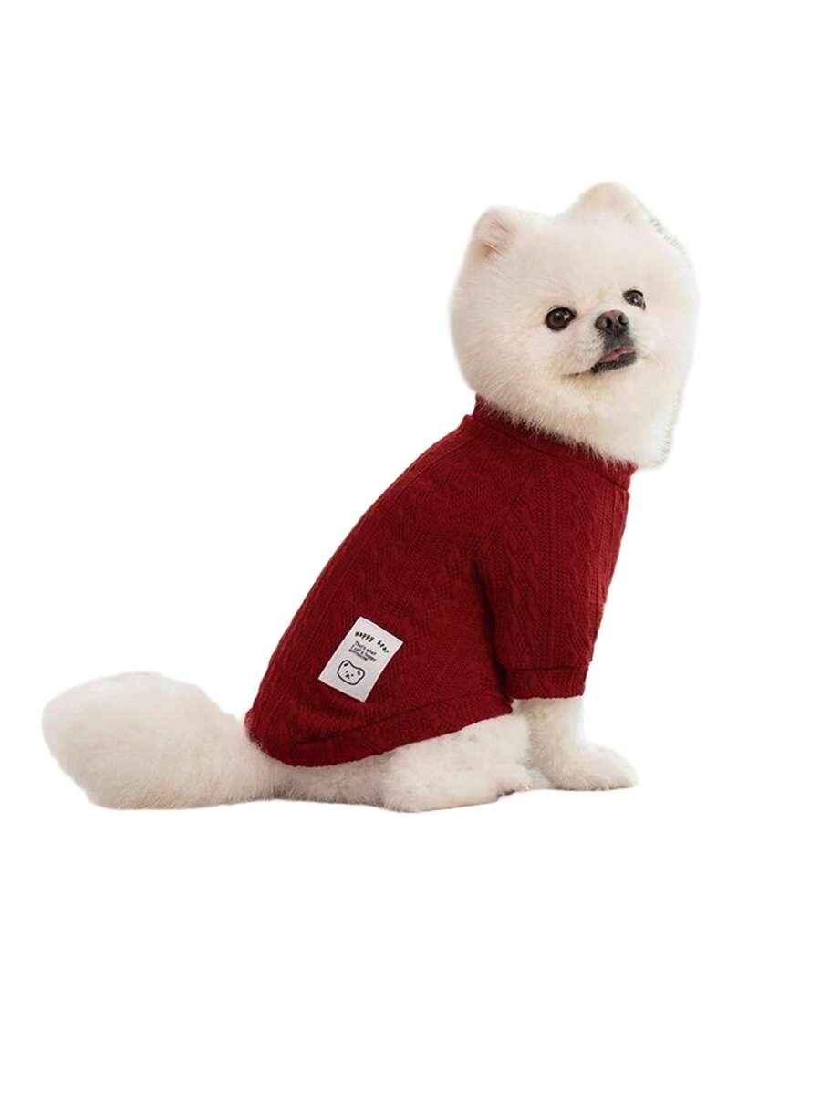 sweter dla psa