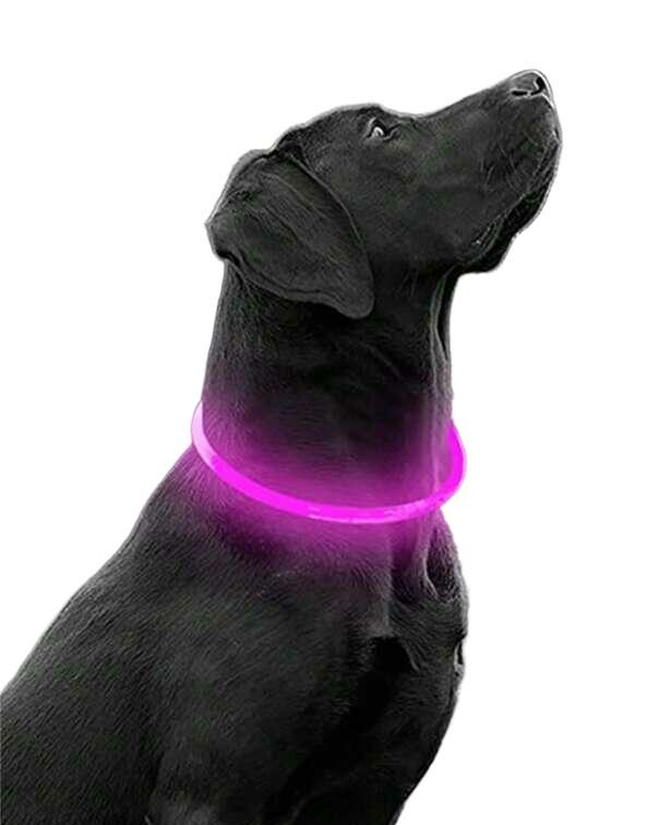 różowa obroża dla psa led