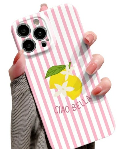 etui na telefon iPhone 16 pro max 