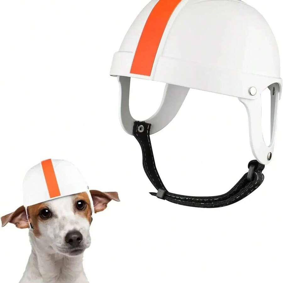 kask dla zwierzaka