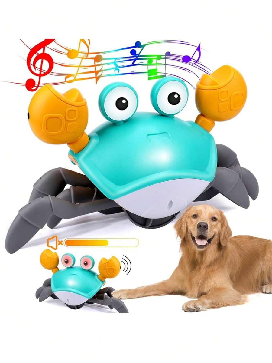 Zabawka raczkujący krab