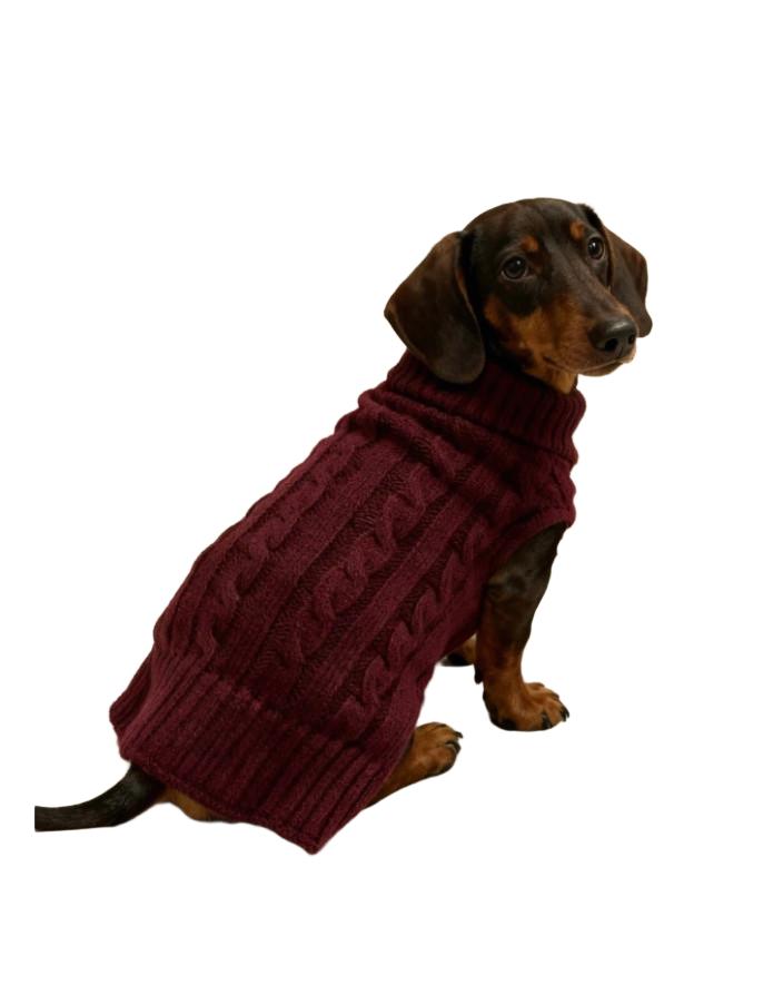 sweter dla psa 