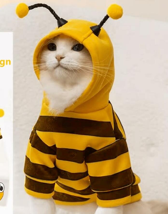 ubranko dla kota pszczoła 