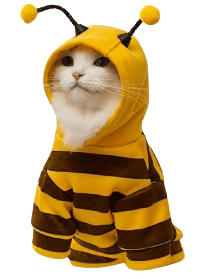 ubranko dla kota pszczoła 