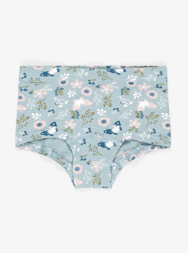 klasyczne bawełniane majtki 2-pack