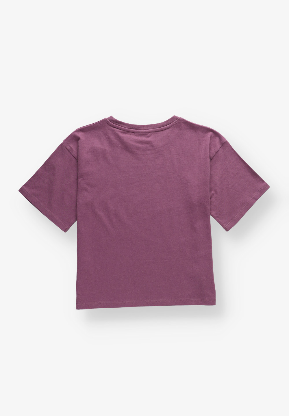 KLASYCZNY T-SHIRT print logo