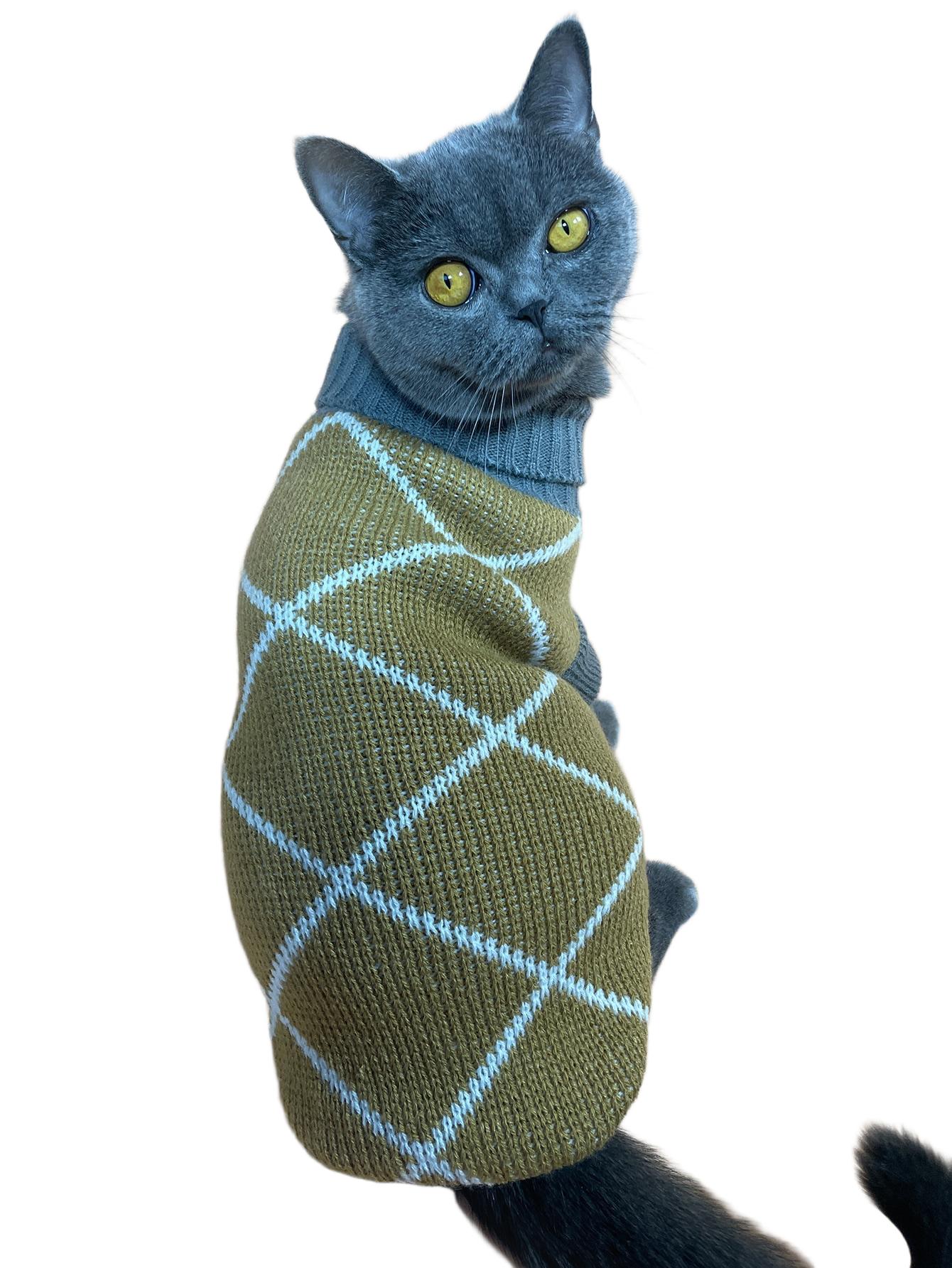 sweter dla kota 