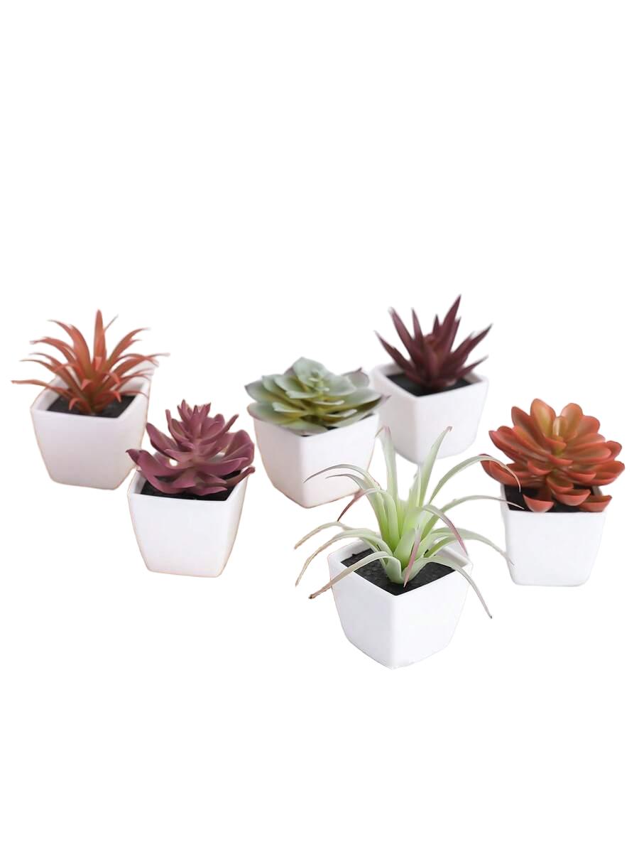 biała doniczka 6-pack