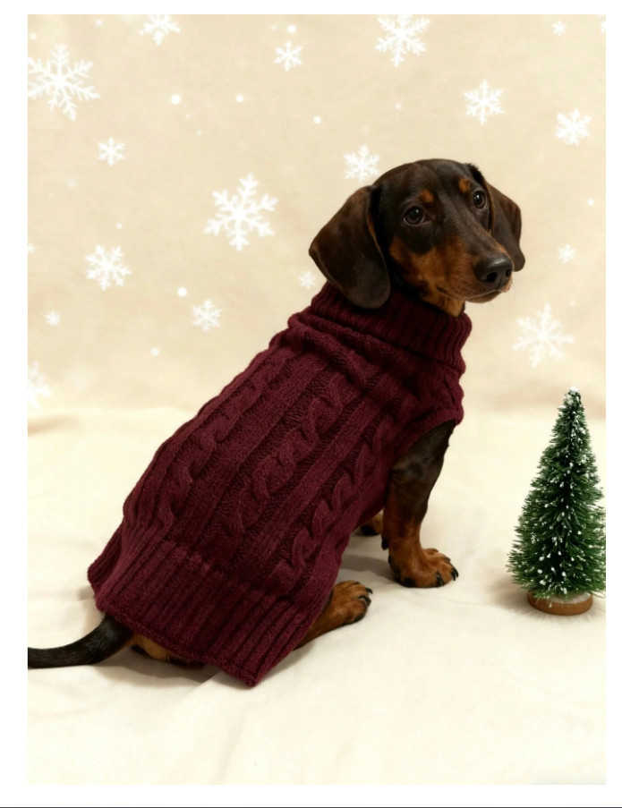 sweter dla psa 