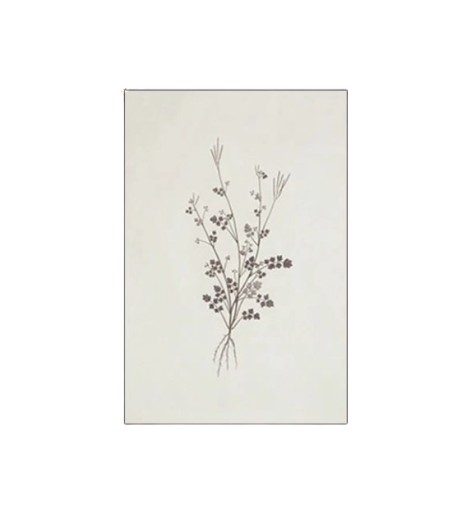 plakat dekoracja print 
