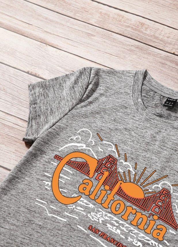 szary t-shirt print
