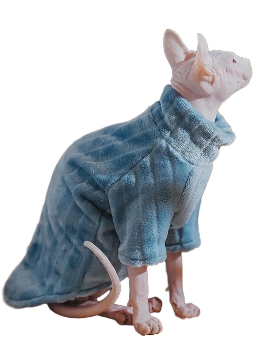 niebieski sweter dla kota