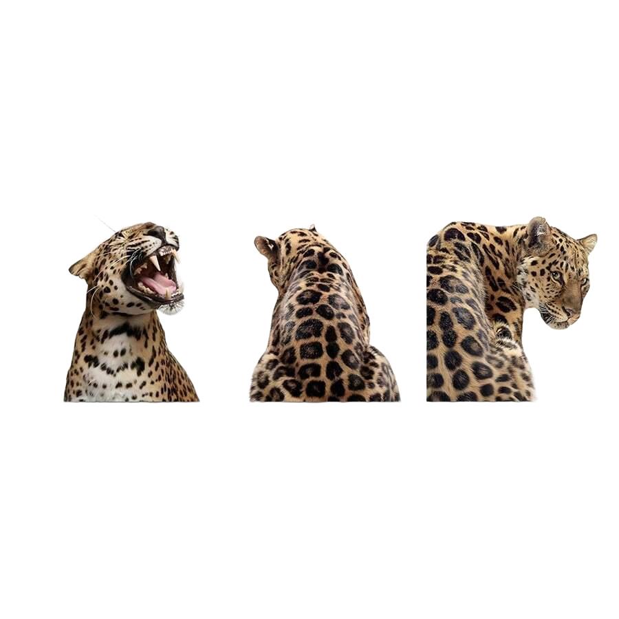 PLAKAT NA ŚCIANĘ 3-PACK