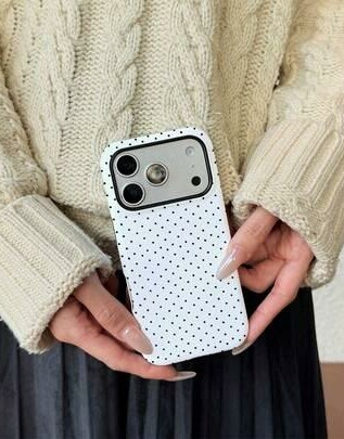 etui na telefon iPhone 17 Pro