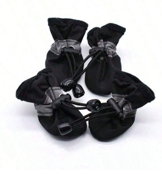 buty dla zwierząt