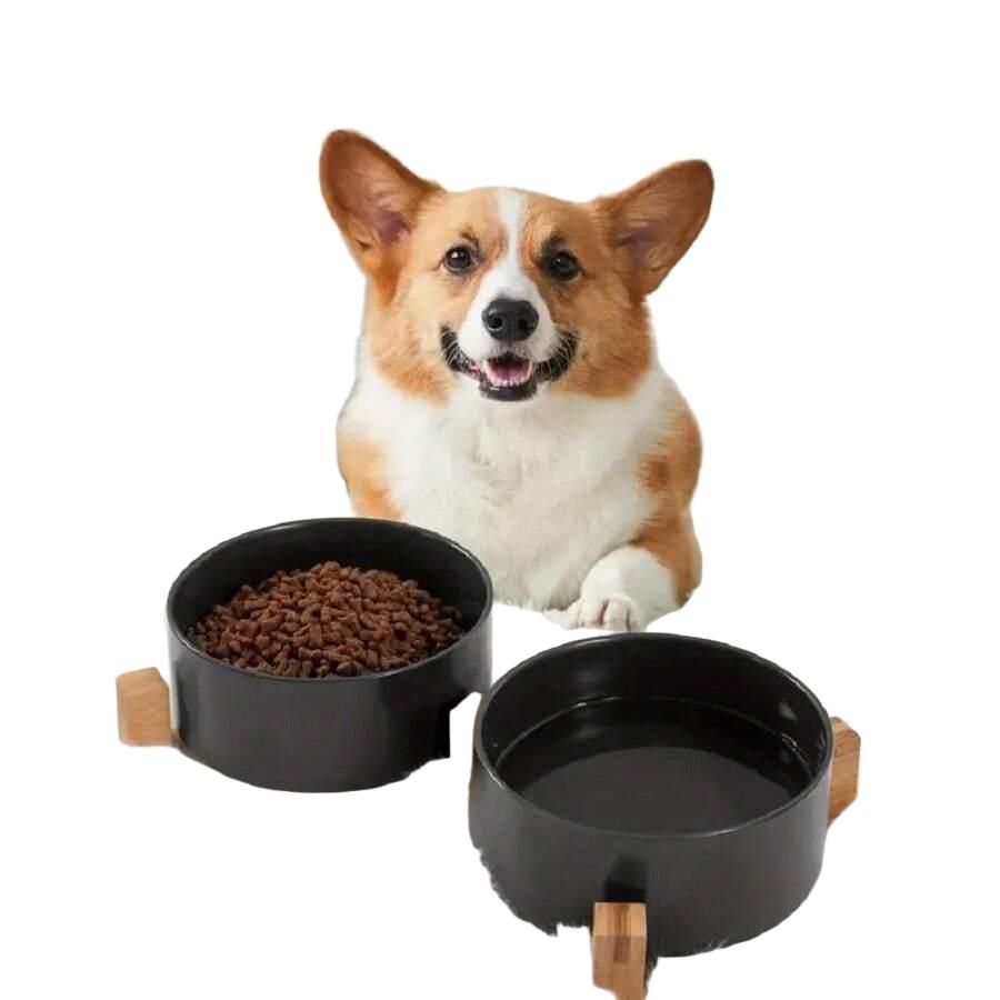CERAMICZNA MISKA DLA ZWIERZĄT 2-pack