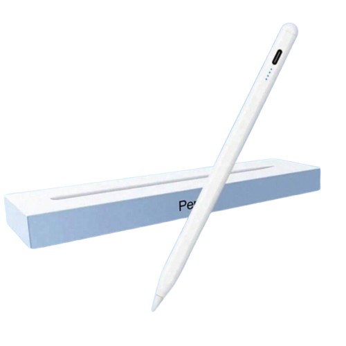 RYSIK DO TABLETA IPAD