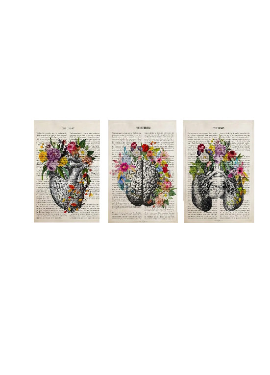 plakat na ścianę 3-pack