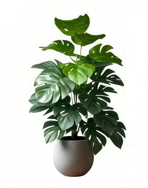 sztuczny kwiat monstera 6szt