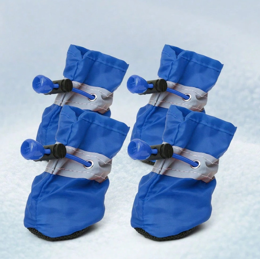 niebieskie buty dla psa