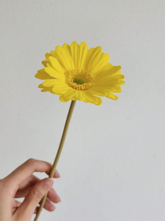 żółta gerbera 1szt.