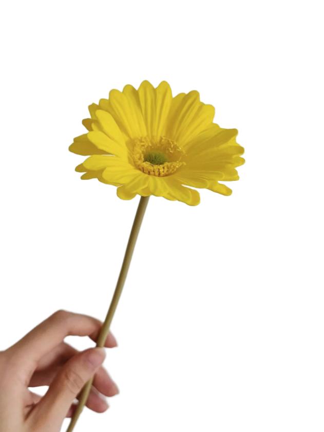 żółta gerbera 1szt.