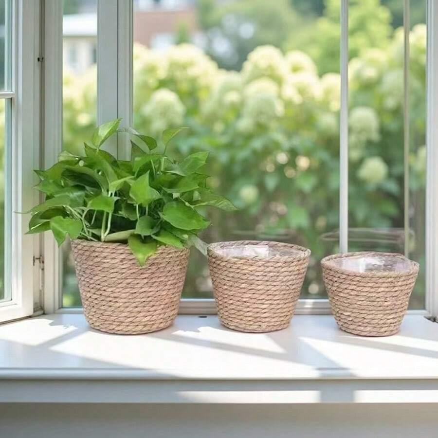 DONICZKA NA KWIATY 3 PACK