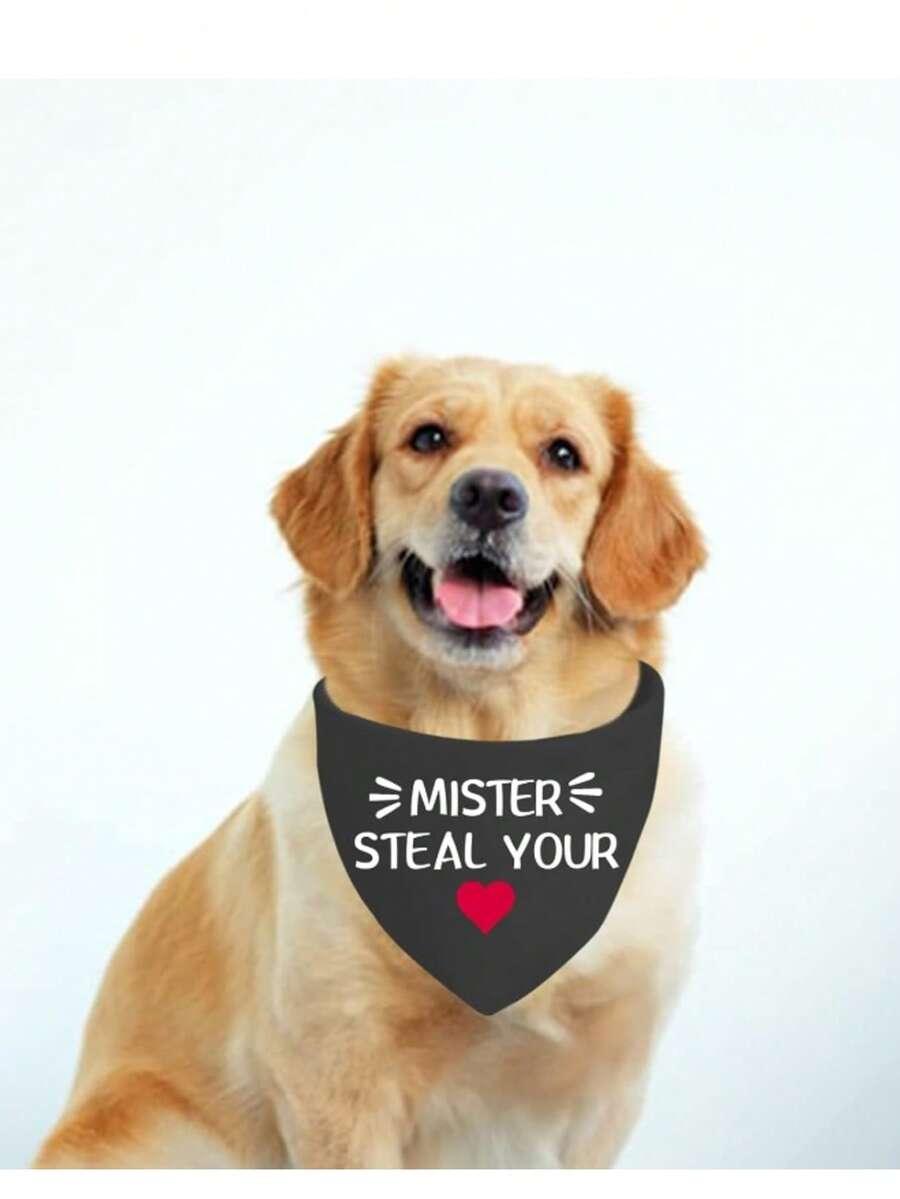 Chusta dla psa