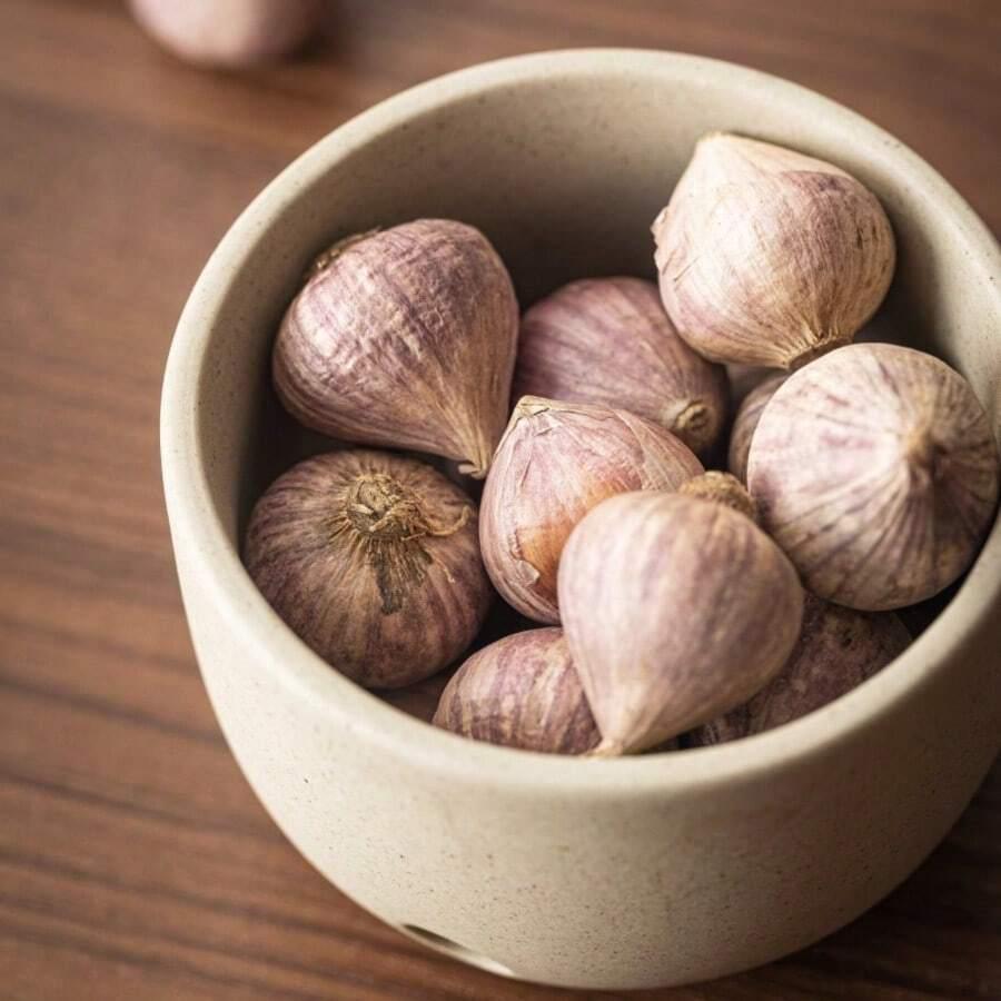 pojemnik na czosnek