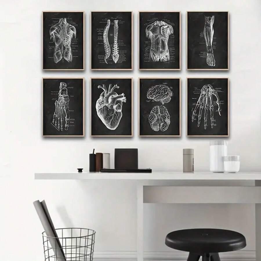 plakat na płótnie anatomia 8-pack
