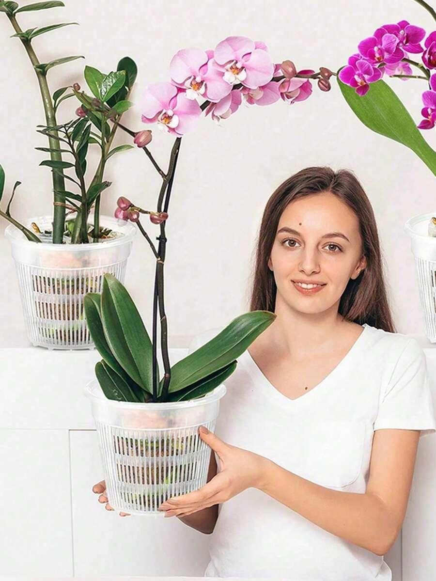przezroczysta doniczka na rośliny