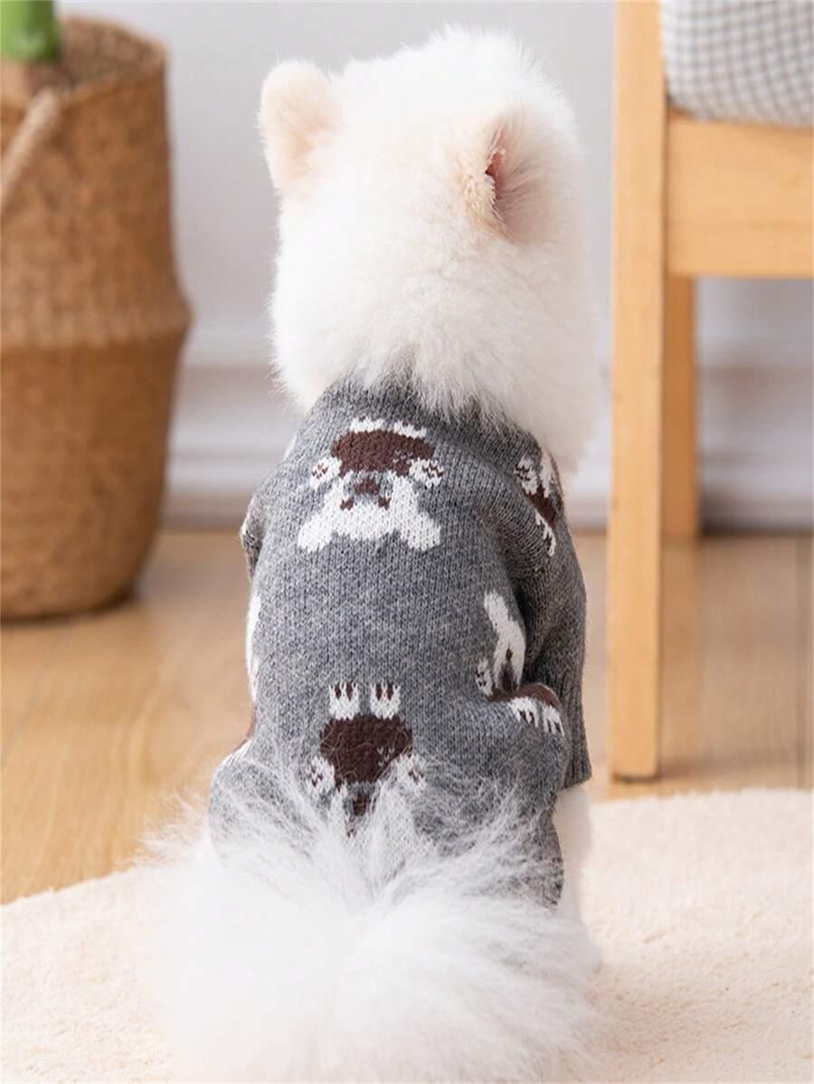 dzianinowy sweter dla psa