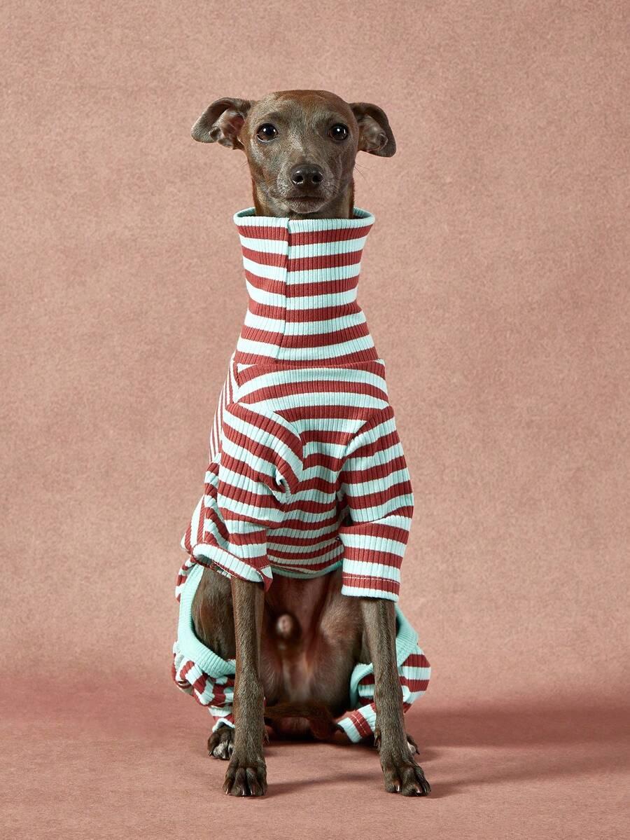 sweter dla psa