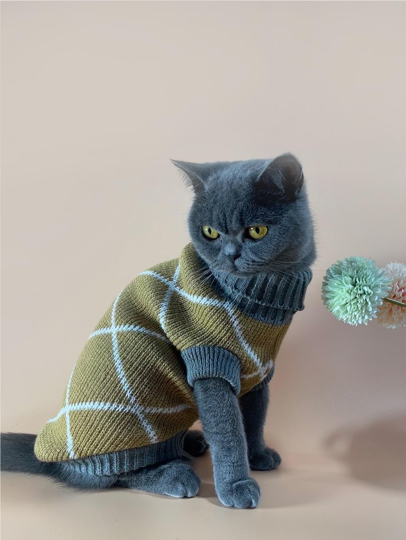 sweter dla kota 