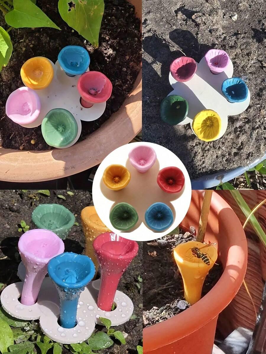 poidło dla owadów 5-pack