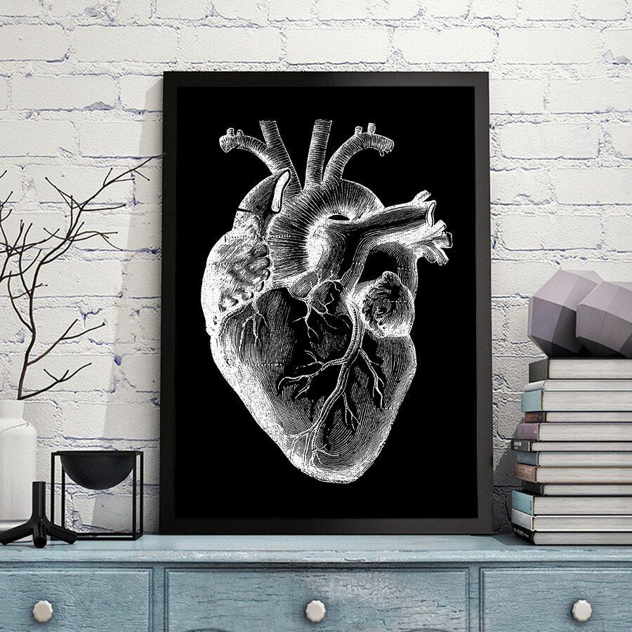 plakat na płótnie anatomia 8-pack