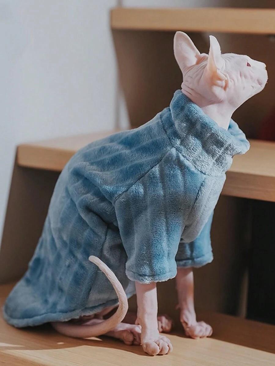 niebieski sweter dla kota