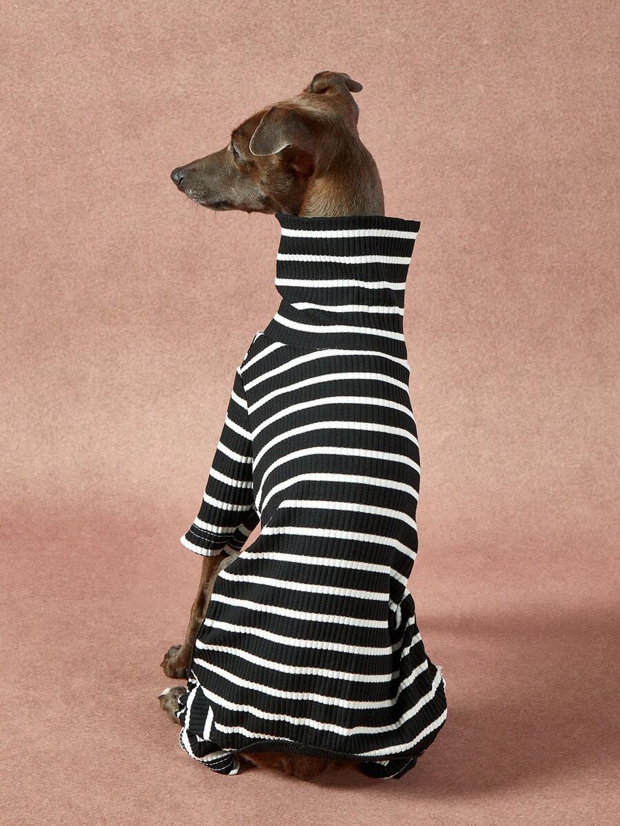 sweter dla psa