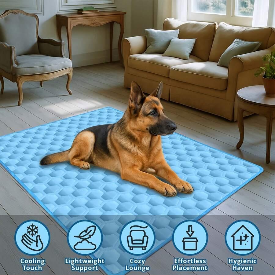 niebieska mata chłodząca dla psów