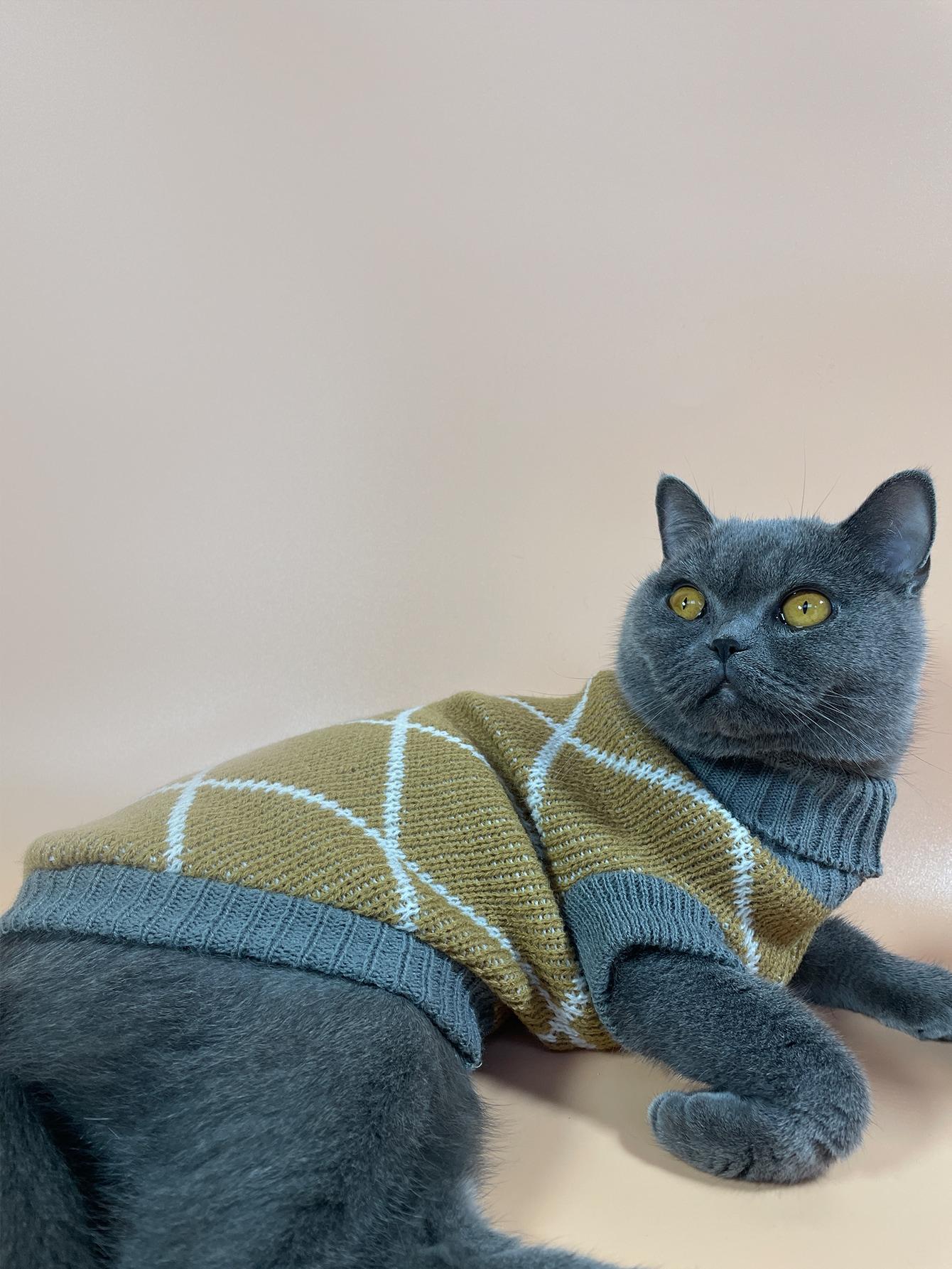 sweter dla kota 