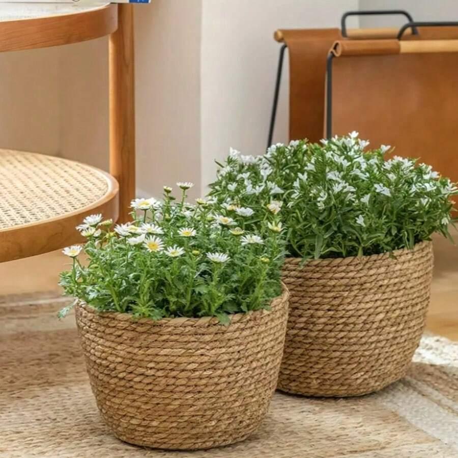 DONICZKA NA KWIATY 3 PACK