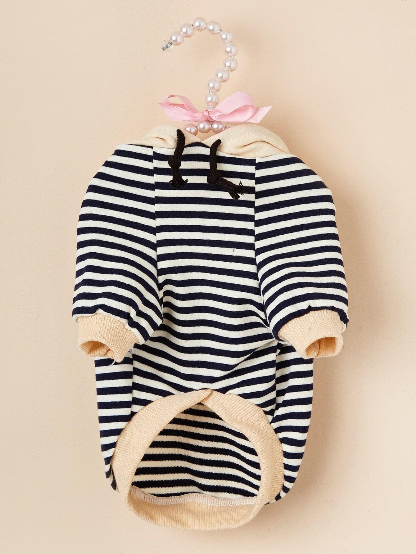 bluza w paski 