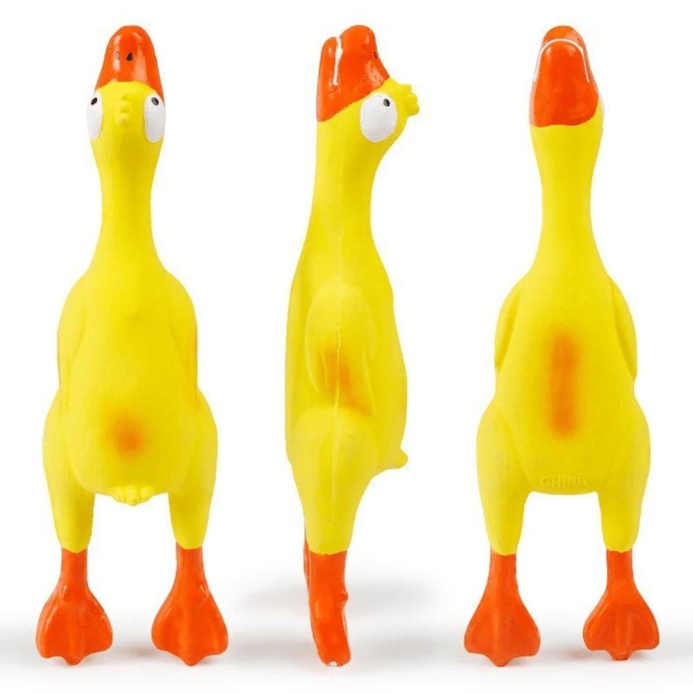 piszcząca kaczuszka zabawka dla psa 3-pack