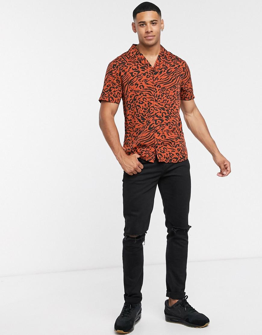 koszula krótki rękaw animal print