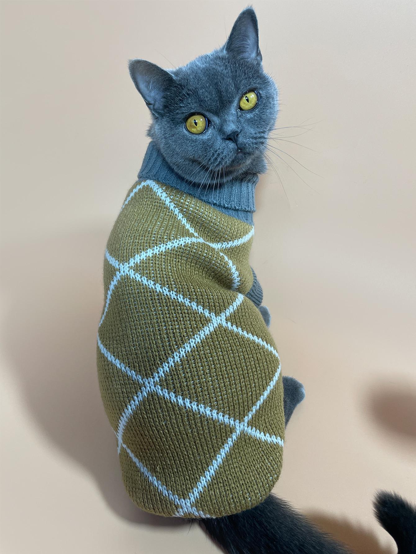 sweter dla kota 