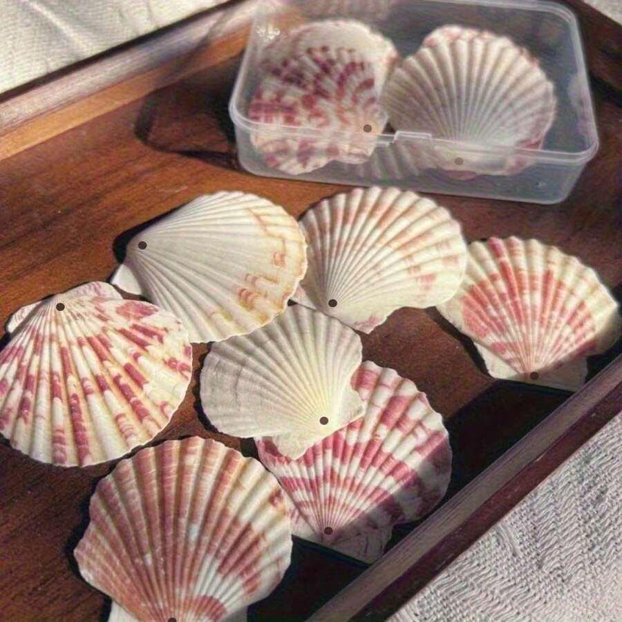 muszle różowo-białe 10szt.