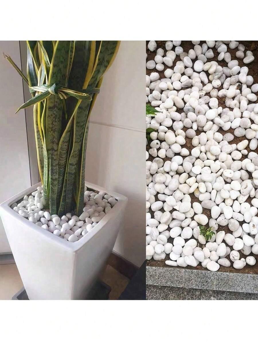 kamienie dekoracyjne 800g