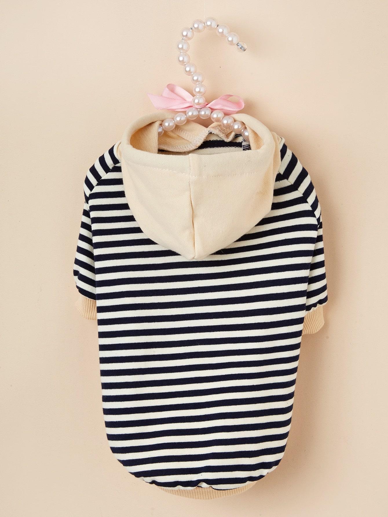 bluza w paski 