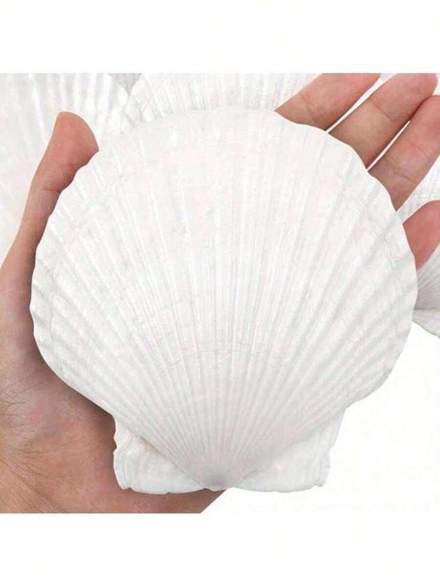 biała muszla 5-pack