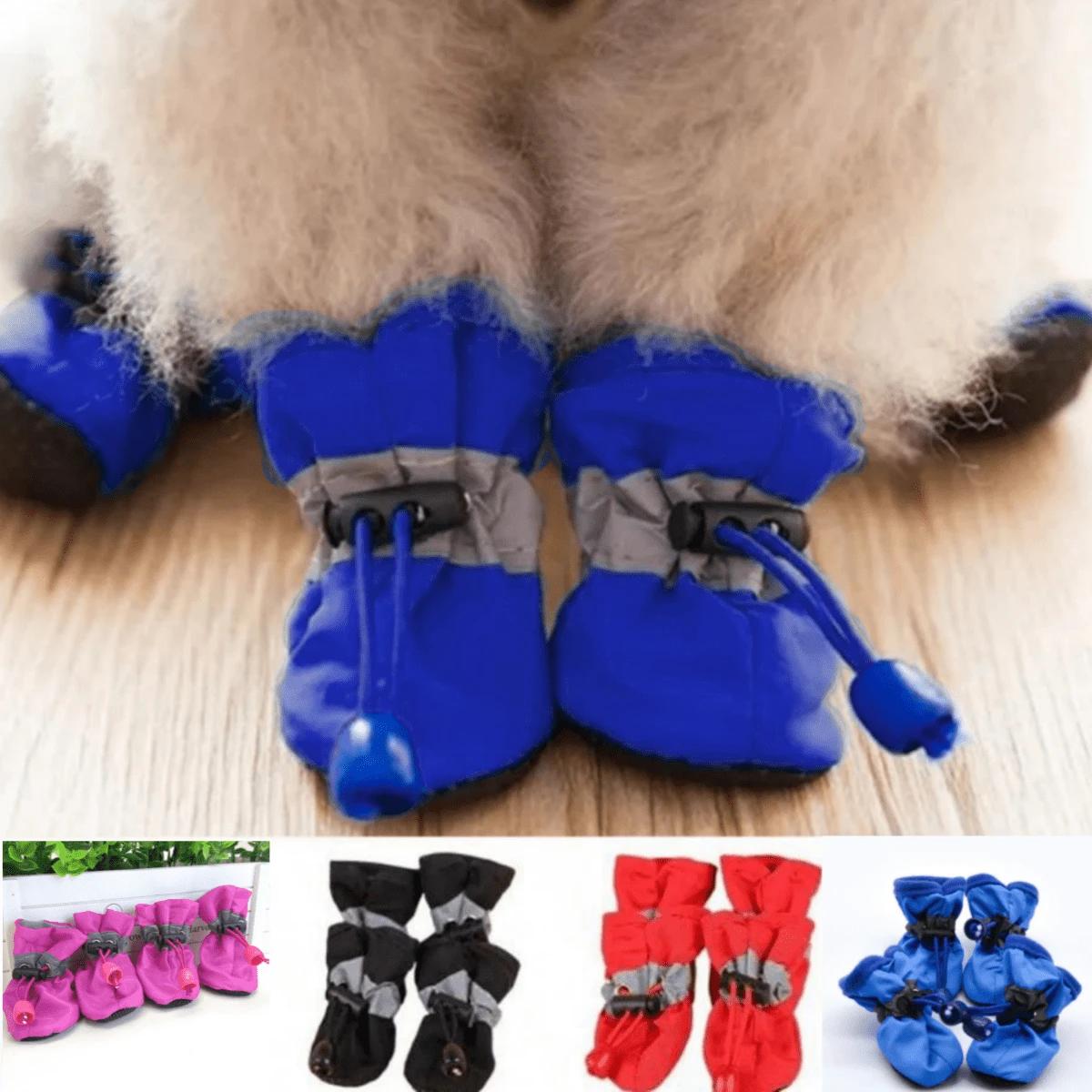 buty dla zwierząt